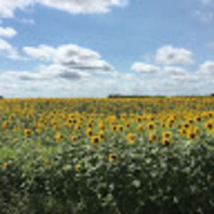 Meet your Posher, Jenny